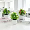 Venda Quente Transfronteiriça 10 Peças Pote de Planta Artificial Violeta para Bolo Planta Artificial Criativa Decoração de Mesa para Casa Plástico Pequeno Bonsai
