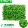 Parede de plantas verdes gramado de plantas parede de grama decoração de parede fundo interno parede de flores parede verde pendurada grama artificial de plástico cabeça de porta