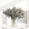 Planta artificial Languifang eucalipto hoja de dinero decoración para el hogar boda planta verde artificial arreglo de flores bonsái pared de plantas