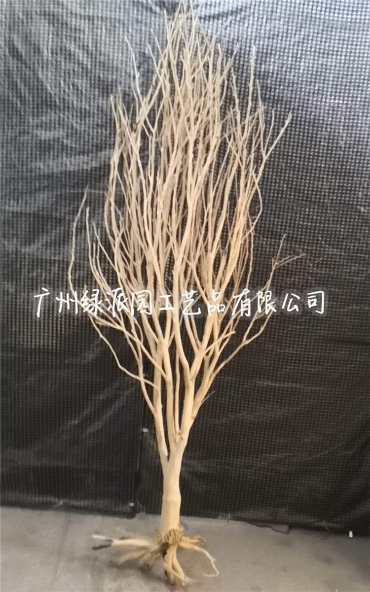 枯树830.jpg