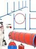 Equipo de Entrenamiento de Agilidad para Perros, Entrenamiento de Obstáculos para Perros, Postes de Salto, Barriles Cónicos, Postes Marcadores, Vallas Combinadas para Mascotas, Dispositivo de Entrenamiento para Perros