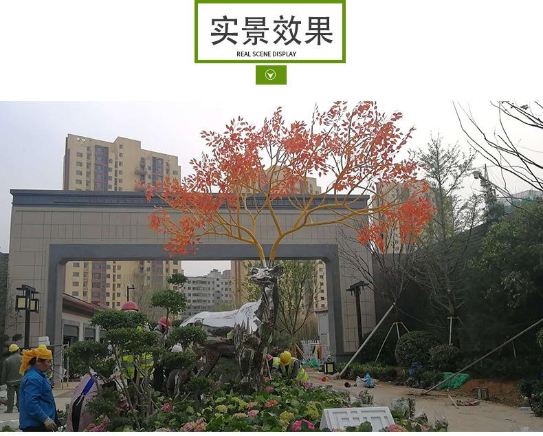 实景效果