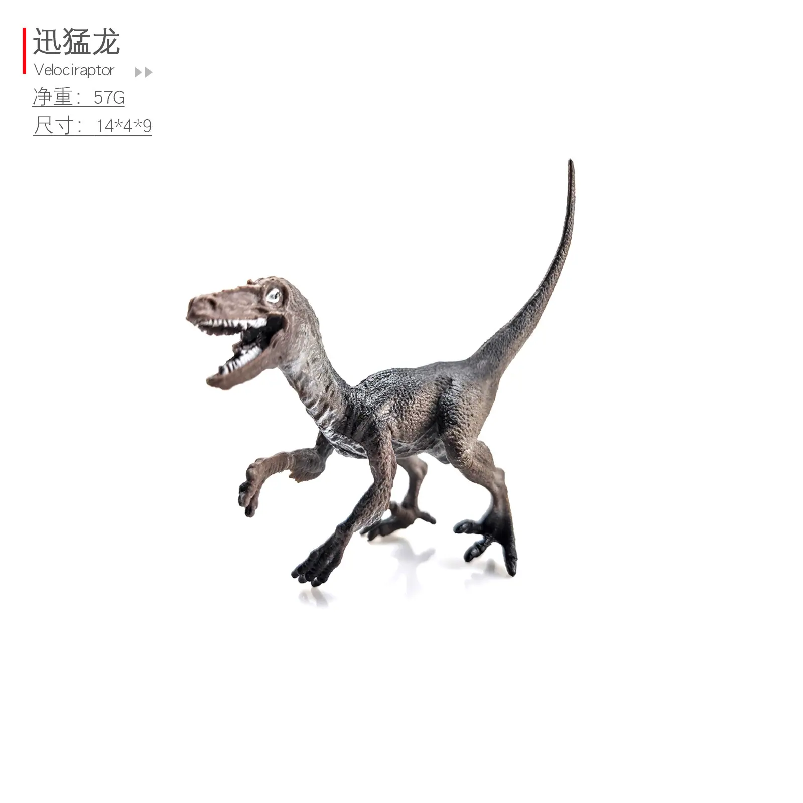 迅猛龙
