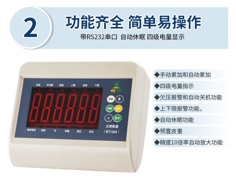 BT1300仪表详情页_03.jpg