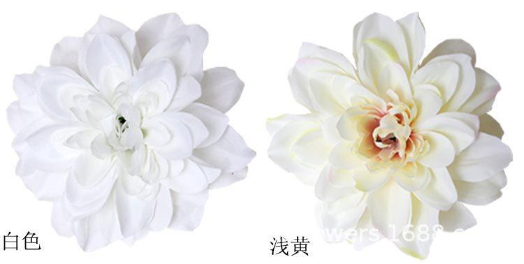 大丽菊花头_09.jpg