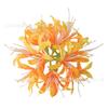 Flores Artificiales, Cabezas de Lirio Araña, Materiales para Manualidades, Decoración del Hogar, Flores Artificiales Realistas con Acabado de Alta Gama, Flores de Boda Realistas Estilo Antiguo, Arte Floral