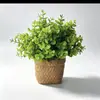 Planta Artificial de Aloe Vera e Planta Verde em Vaso de Cimento para Decoração de Mesa de Centro de Sala de Estar Interna de Casa, Folha Verde para Varanda