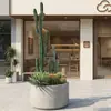Planta Verde de Cactus Simulada en Maceta Planta Suculenta Tropical Combinación de Paisaje de Cactus Ventana de B&B Café