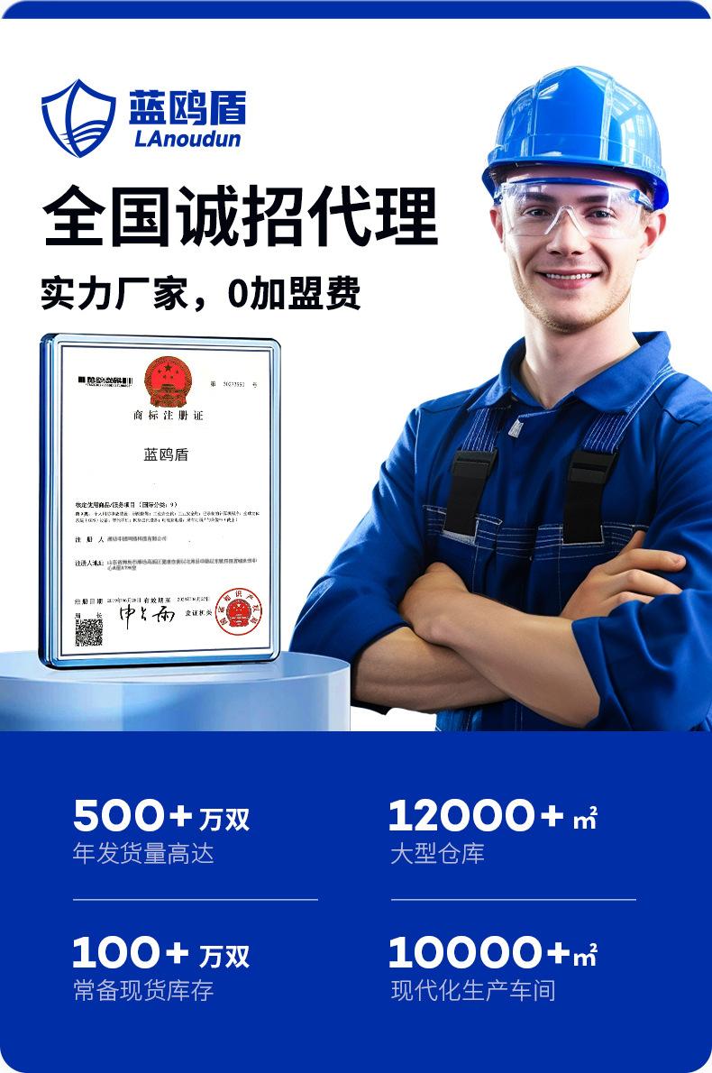 1-蓝鸥盾劳保头部