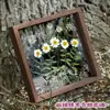 Porta-Retrato Transparente Dupla Face DIY Artesanal Folha Embossada Espécime de Planta Flor Seca Moldura de Exibição Porta-Retrato de Mesa Fábrica Atacado