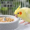 Tigela especial de pedra vulcânica para papagaios, moedor de garras pequeno para conures sol, porta-incenso repelente de mosquitos, tigela de pedra para afiar dentes, bebedouro, especial para atacado