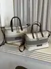 Bolsa estilosa de design de nicho transfronteiriço, popular no início do outono de 2026, bolsa de mão listrada versátil, bolsa de ombro e transversal estilo bolinho