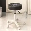 Taburete Giratorio Ajustable para Peluquería y Manicura, Silla para Salón de Belleza con Ruedas, Silla para Barbería, Taburete de Trabajo Grande Específico para Salón