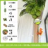 Cubierta de Tubería para Decorar y Embellecer Tuberías de Drenaje de Balcones, Protección contra Incendios en Interiores y Exteriores, y Ocultar Áreas Desagradables