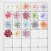 Flor de Estrella Simulada de 4 cm Decoración de Pared de Flores para Bodas Accesorios para Fotos Flores Artificiales Hechas a Mano Bricolaje Set de Boda