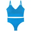 Ropa interior para mujer fina pecho pequeño push up sexy sin aros cómoda camisola con almohadilla Traje de sujetador francés