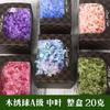 Hortensia de madera Flor eterna Rosa eterna central Caja de regalo Cubierta de vidrio Material de la flor Material de la flor preservada Material de la flor eterna