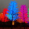 Venta al por mayor de fábrica Lámpara de árbol de flor de cerezo de hierro LED Altura Multicolor Opcional Impermeable para exteriores Ingeniería de parque Paisaje Luminoso