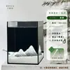 Acuario de Cristal Pequeño Ultra Transparente para Escritorio con Luces, Regalo de Cumpleaños Creativo, Tanque Cuadrado Pequeño