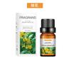 Aceite Esencial de Planta de Aromaterapia Soluble en Agua Perfumeoil Perfume Aceite Esencial de Aromaterapia Fragancia de Larga Duración Aceite Esencial de Aromaterapia Fresco