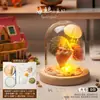 Luz de Noche de Gelatina de Concha de Erizo de Mar Natural Kit de Materiales Hechos a Mano para Bricolaje Adorno Decorativo Regalo para Niños y Novias