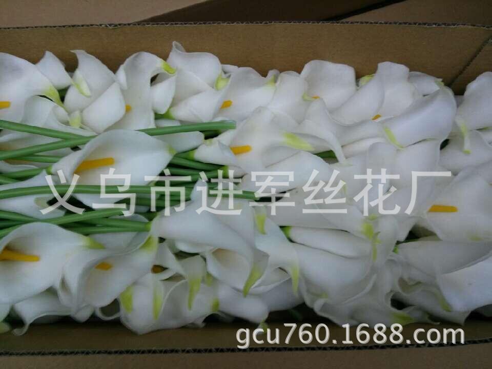 马蹄2