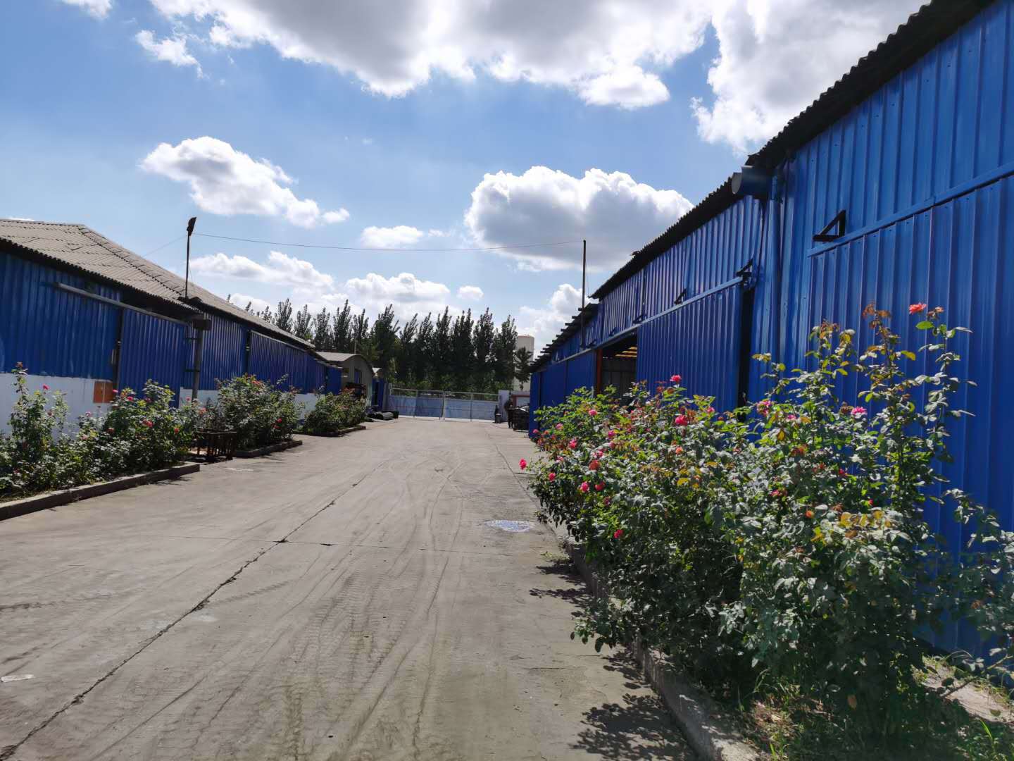 7462a7b57eace467cf164de4c6e8ec