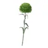 Nuevo Clavel Artificial Transfronterizo Clavel Verde Planta Verde de Gran Venta Bola de Espinas Goma de Tacto Suave Accesorio de Fotografía Decoración de Pompones Verdes