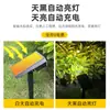 Luz Solar de Enchufe para Jardín Exterior Impermeable Luz para Patio Iluminación de Árboles en Villas Foco para Césped Fabricante de Luces LED