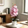 Bonsái de flor artificial Phalaenopsis de 6 flores grande transfronterizo para decoración de balcón de casa, entrada, flor falsa de tacto 3D, planta verde en maceta