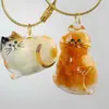 Pingente Fofo de Bola de Pelo de Gato, Chaveiro Transparente Gashapon para Armazenamento de Pelo de Animal de Estimação, Pingente de Bolsa de Aparência Sofisticada para Comemoração