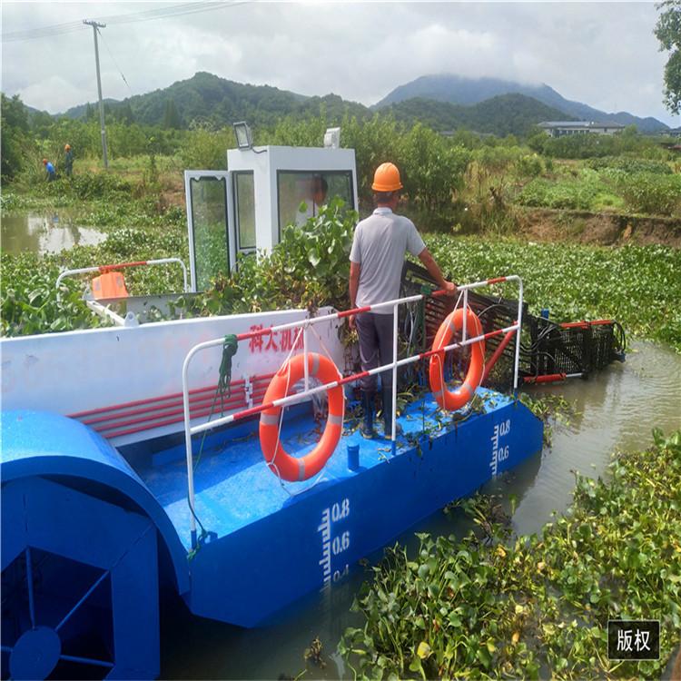 40浙江绍兴水葫芦打捞船 (4).jpg