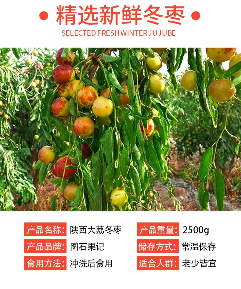 陕西大荔冬枣详情图2