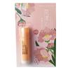 Bálsamo Labial Hidratante de Origen Vegetal Más Vendido para Mujeres y Hombres, Hidratante, Lubricante, Anti-Agrietamiento, Humectante, Incoloro, Sabor a Frutas
