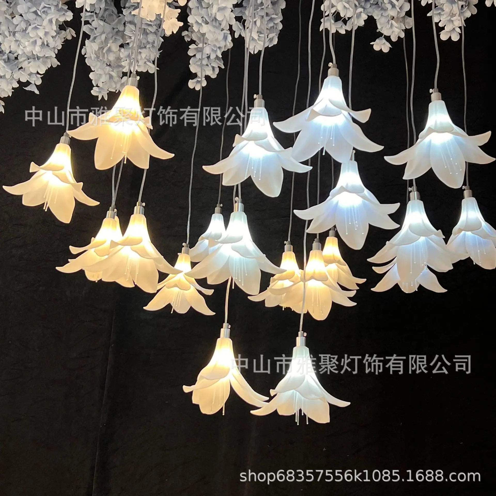 微信图片_20250305173224