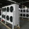 Instalación Completa de Almacén Frío para Fábrica de Alimentos Congelados, Equipos de Congelación Profunda a Baja Temperatura y Construcción de Almacén Frío para Productos Semielaborados