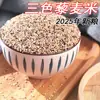 Arroz con Quinoa Tricolor/Arroz con Quinoa Blanca Pura Arroz de Quinoa Bashang Zhangjiakou Cosecha de Otoño 2025 Granos de Quinoa Nuevos