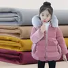 Tela de Sofá de Terciopelo 240g Terciopelo de una Cara Tela para Maletas, Venta al por Mayor Fabricante de Terciopelo, Terciopelo Holandés Engrosado