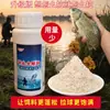 Cebo Shengu Personalizado Cebo Multiusos Botella Compañera Proteína de Trigo Cebo de Pesca para Pesca Salvaje