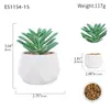 Simulação de plantio verde e vaso de cerâmica carnudo com diamantes. Simulação de vaso de cerâmica carnudo para decoração de casa. Super decoração.