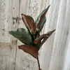 Bosque Escandinavo Verde Planta Verde Hoja Verde Techo de Salón de Bodas Mimosa Plástico Flor Falsa Hierba de Amante Eucalipto