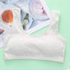 Ropa interior para mujer sin aro de acero para estudiante universitario de secundaria, otoño e invierno, pecho pequeño estereotipado con hilo, puro algodón fino, brasier de desarrollo