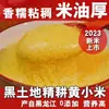 Painço Amarelo, uma Especialidade do Nordeste da China, Nova Safra de Grãos Grossos Painço Amarelo para Uso em Mingau Pós-Parto com Farelo de Arroz