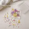 Arte de Uñas Flores Secas Adornos para Uñas Pintura al Óleo Jardín de Monet Pétalos Estilo Ins Japonés Flores Pequeñas Florales Mixtos Materiales DIY