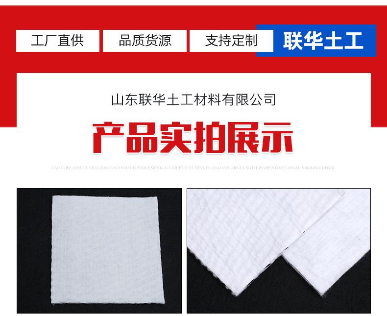 9三维复合排水板----_11.jpg