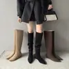 Botas largas de plataforma para mujer 2026 nuevas botas holgadas de otoño Maillard punta fina para estatura baja adelgazantes botas altas de equitación