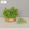 Plantas verdes artificiales, hierba de pez dorado, plantas acuáticas frescas, decoración del hogar, accesorios de fotografía, paisajismo de escaparates, follaje con temática de bosque, gypsophila