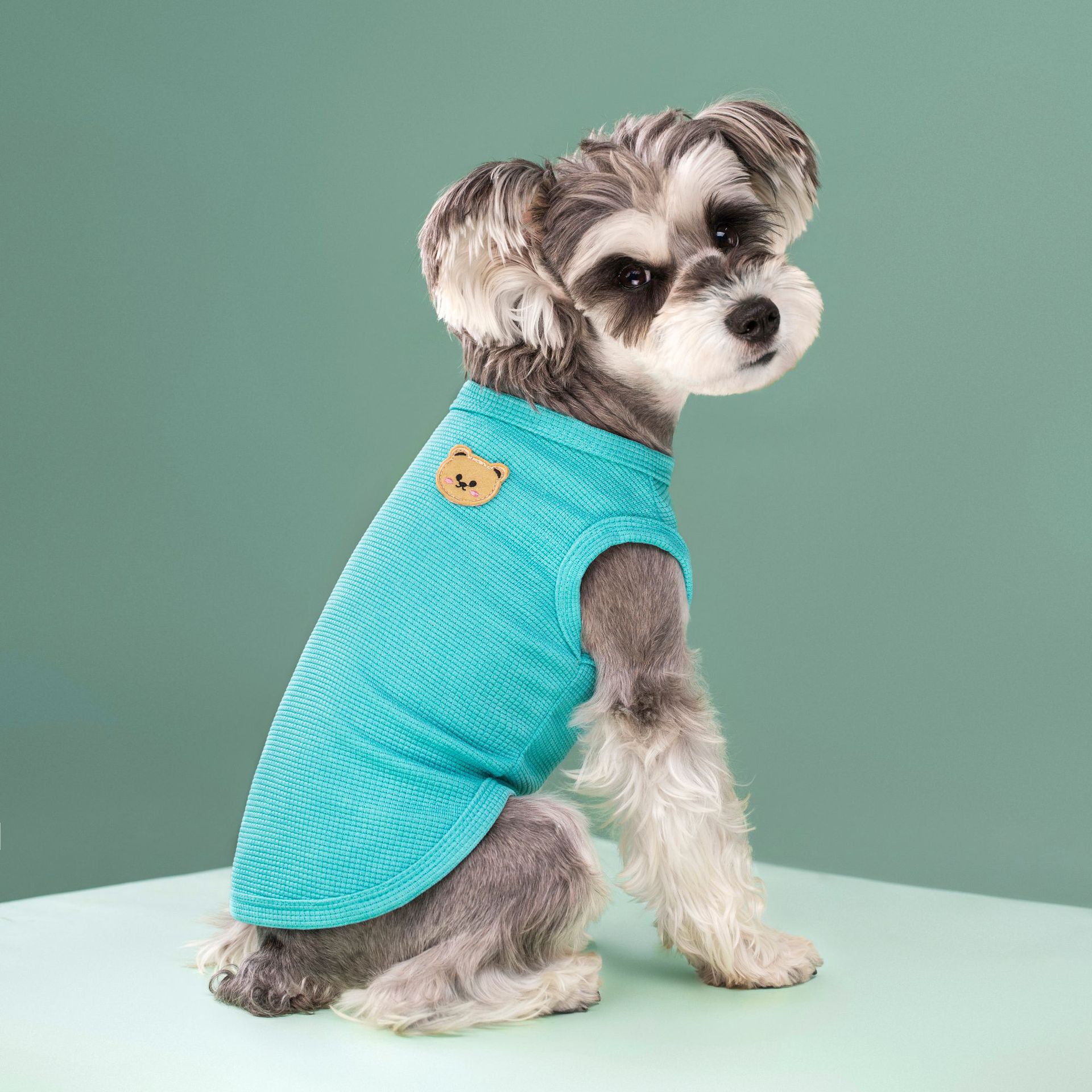 WD4A2590_1 - 开心看图王.jpg