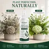 El agente de cuidado para flores y plantas artificiales KineShineX es adecuado para ramos artificiales, plantas verdes y plantas en maceta decorativas, y no requiere lavado