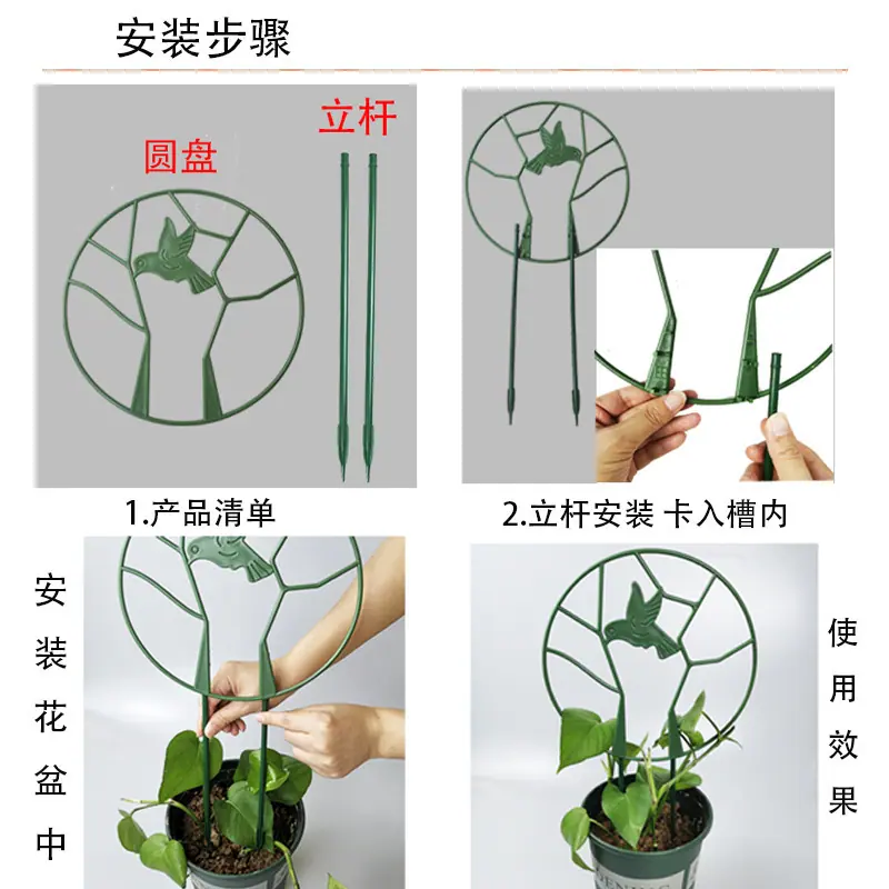 主5